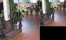 Home Away From Home Ringlet