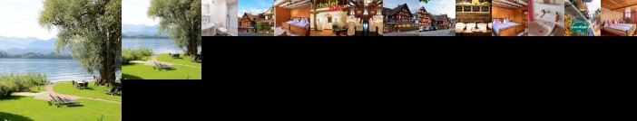Swiss-Chalet Lodge - Swiss-Chalet Merlischachen