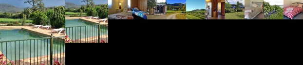 Ascella Organic Wine