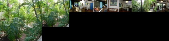 Oskar's Rain Forest Retreat