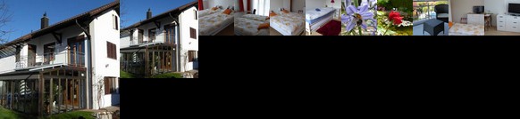 Eulennest Illnau-Effretikon