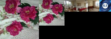 Blauwe gans homestay