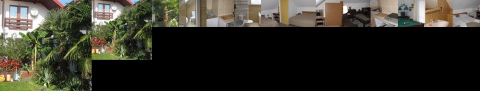 Pokoje Goscinne Pod Palmami