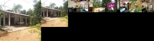 Treasure Villa Haltota