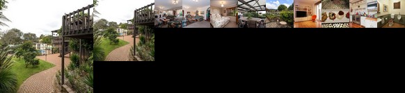 Luxury Experience Redwoods B&B