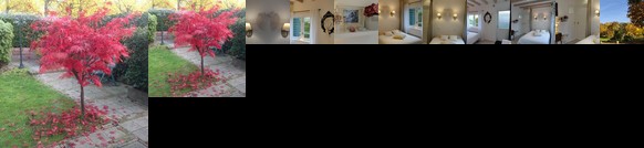 B&B La Roseraie Almere