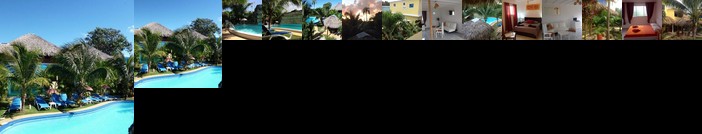 Diving Adventures Resort