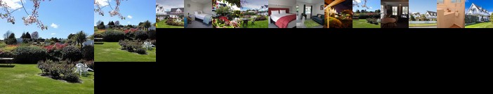 Phoenix Resort - Taupo