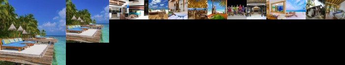 Aaaveee Nature's Paradise