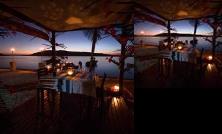 Trees and Fishes Private Retreat