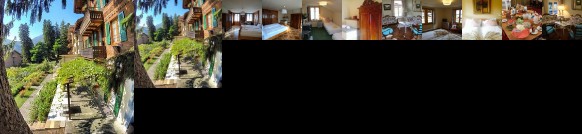 Edelweiss Lodge Wilderswil