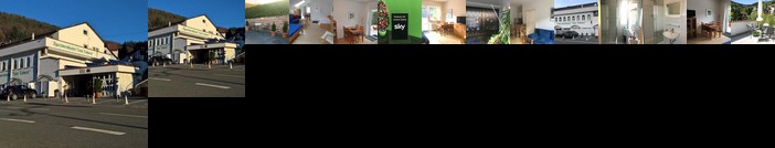 Apartmenthaus Zum Lowen Heidelberg - Ziegelhausen