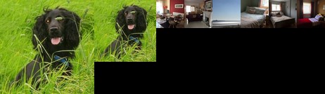 Homestay - Home Sweet Home Donabate