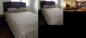 Downtown Honolulu Villa