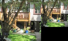 Homestay in Kensington-Cedar Cottage near Sunrise Park
