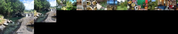 Aux Graines Sauvages