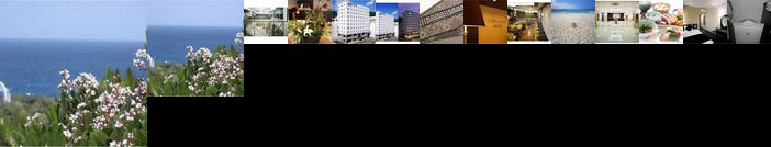 West Court Amami Hotel