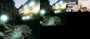 Ryokan Nibukawa Onsen Hotel