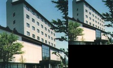 Kamiina/Ina Prince Hotel
