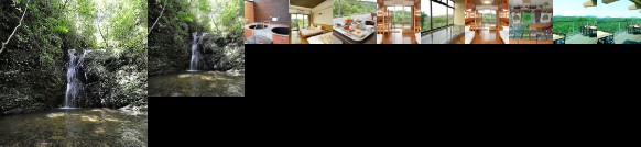 Ryokan Yambaru Discovery Forest