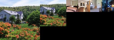 Chino/Hotel de Winds