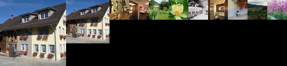 Gastehaus zum Tulpenbaum