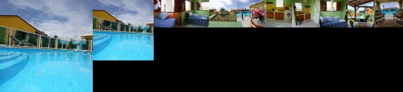 Les Palmes du Moulin