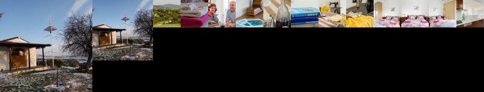 Stylish & Nature Home