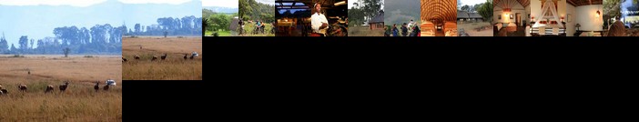 Mlilwane Wildlife Sanctuary