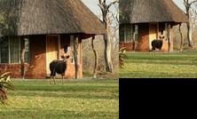 Hlane Royal National Park