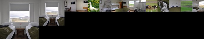 Stora-Asgeirsa Farm Stay