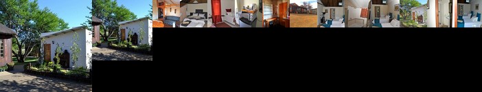 Thorn Tree Lodge Bloemfontein