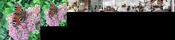 Asphyttan Metta House