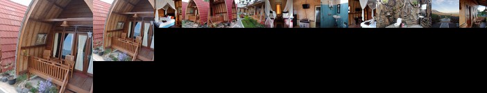 Tiing Bali Guest House Adventure