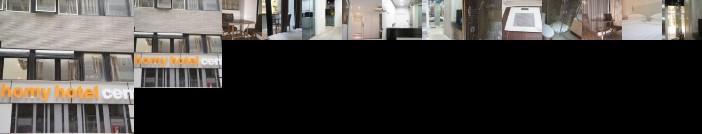 Homy Hotel Central
