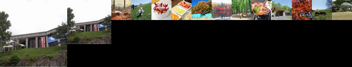 Yatsugatake Wanwan Paradise Hotel