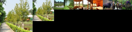 Resort Suncity Lataguri