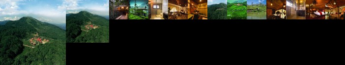 Wild Planet Jungle Resort