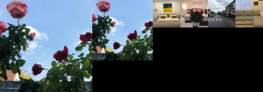 Exclusive Airport Apartment