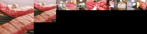 RYOKAN Hida Furukawa Speranza Hotel