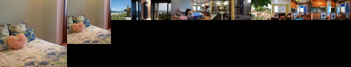 Apartment on Tolstogo 19