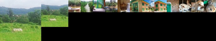 Yesterday Country Resort