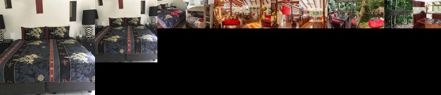 Daintree Secrets Rainforest Sanctuary