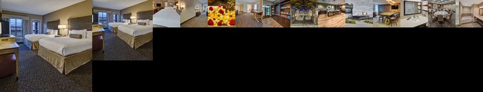 Black Fox Lodge Pigeon Forge Tapestry Collection by Hilton