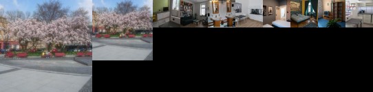 Apartment Belvedere Ostrava