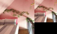 Gangchon Orange Pension