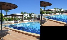 Jasmine Summer Dreams