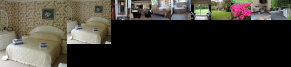 Tranquility Homestay Bed & Breakfast