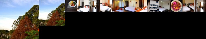 Gigiri Express Hotel