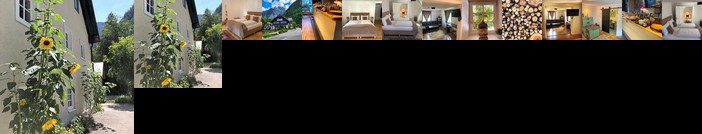 Fenix Hall Boutique Hotel Hallstatt